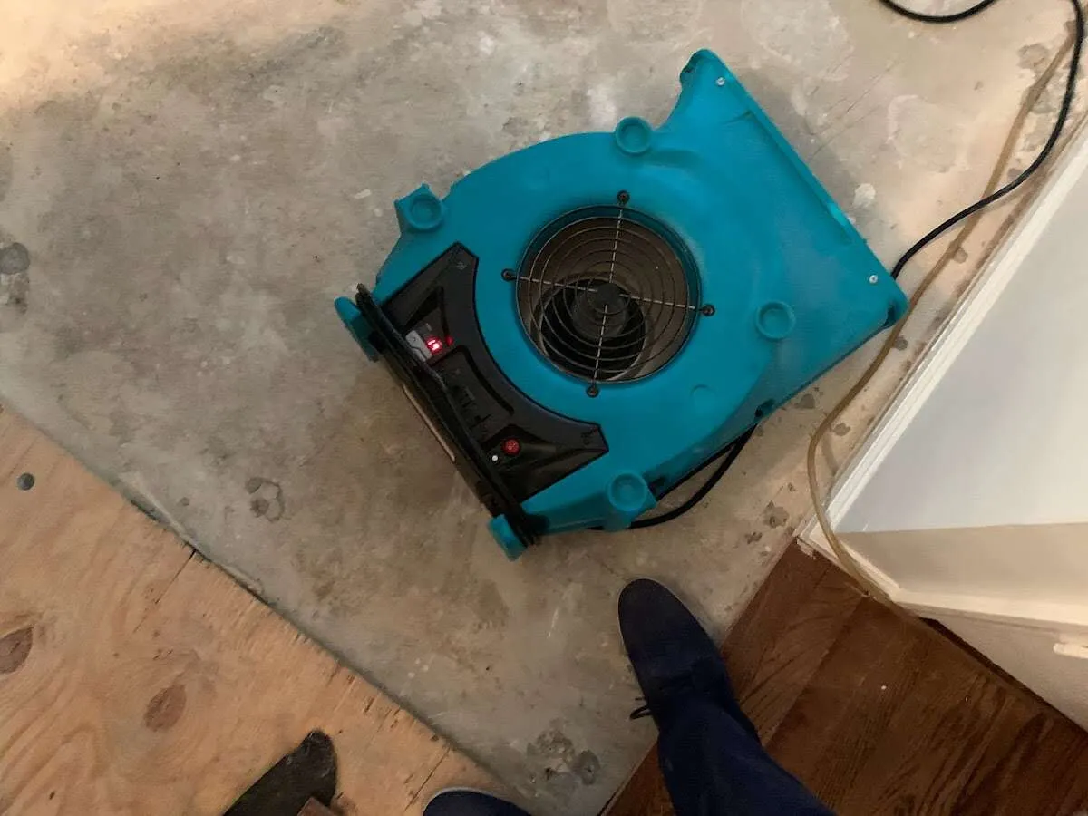 Air mover drying subfloor during Leak Detection & Repair in Forest Glen